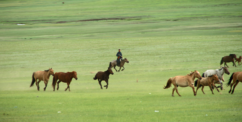 H07 Mongolie 5.jpg
